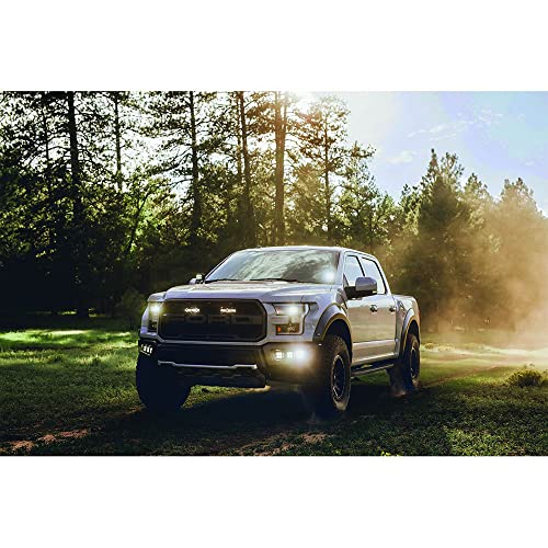 Rigid Industries 602213 - Foco orientable para navegar