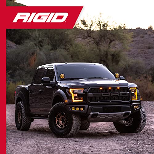 Rigid Industries - 36114 - Haz LED Todoterreno de 4 Pulgadas con luz de Fondo ámbar (36114)