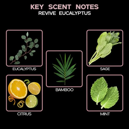 New EUCALYPTUS Scented Reed Diffuser Set REVIVE by LOVSPA Fragrances Fresh Eucalyptus, Sage, Citrus, Bamboo & Mint Great Gift for Mom, Dad, Grandma, Godmother or Aunt