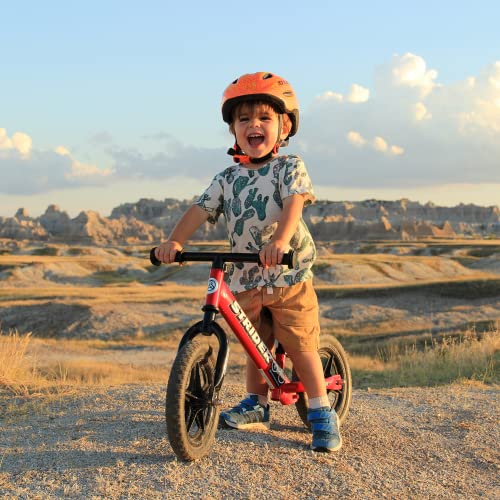 Strider – 12 Classic Bicicleta de Equilibrio, a Partir de 18 Meses a 3 años