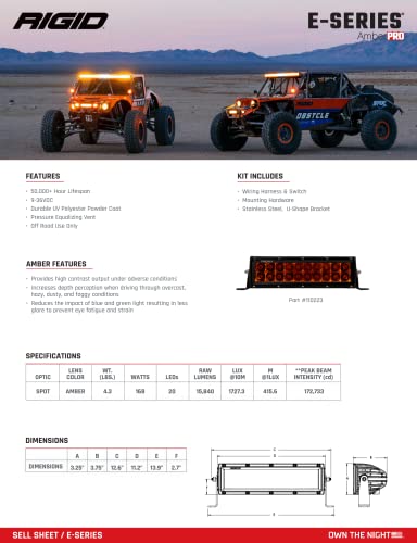 RIGID INDUSTRIES 110223-E-Series - Haz de punto de 10 pulgadas con lente ámbar PRO