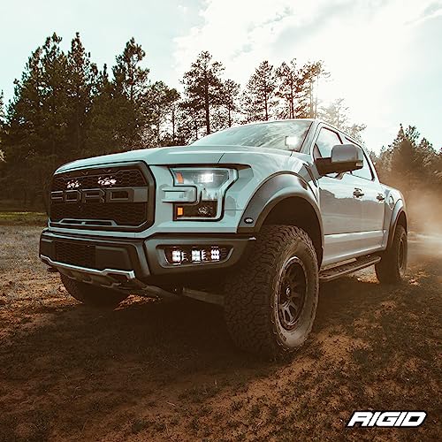 Rigid Industries 201913 Light Cover (D-Series, 3 Inch, Black, Universal)