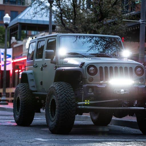 RIGID INDUSTRIES 250053 Radiance+ Barra de luz RGBW de 50 pulgadas