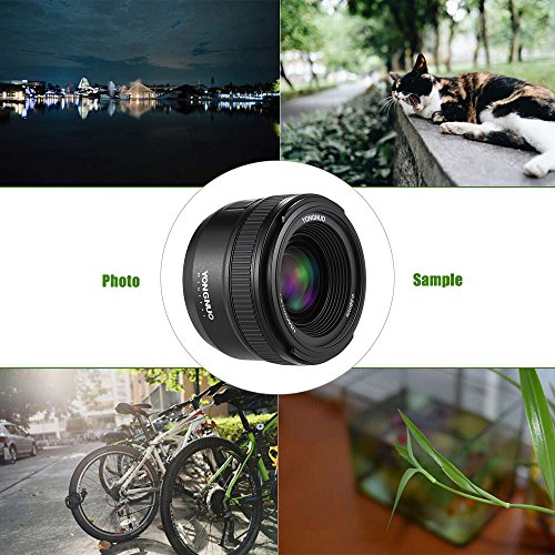 YONGNUO YN 35 mm Lente F2 1:2 AF/MF Gran Angular Fijo/Prime de Enfoque automático, Lente para cámaras réflex Digitales de Nikon