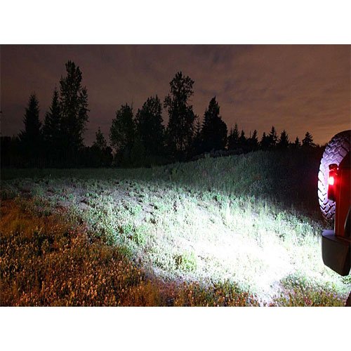 Rigid Industries Back-Up Light Kit