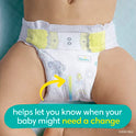 Pampers Swaddlers, ONE Month Supply