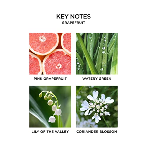 NEST Fragrances - Recambio líquido para difusor de pomelo