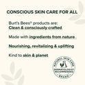 Burt's Bees Facial Cleansing Towelettes, Cucumber and Sage, 30 Count