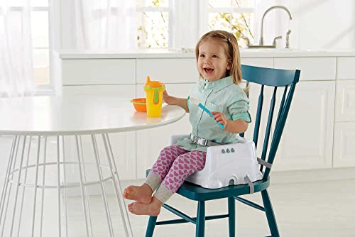 Fisher price travel booster seat online