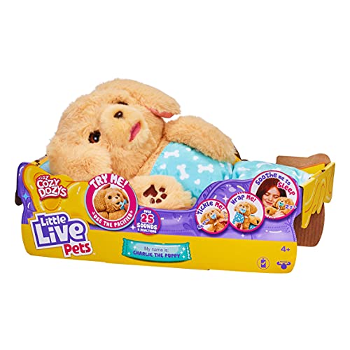 Little Live Pets Cozy Dozy Cubbles The Bear