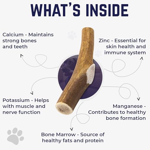 Cuernos de alce premium para perros | Todos los huesos de cuernos naturales mastican hueso de alce | saludable y de larga duración para masticadores agresivos | Salvaje en Estados Unidos – Propiedad de veteranos