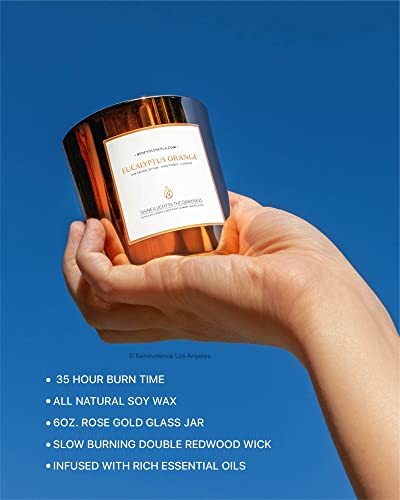 Benevolence LA - Velas aromáticas de Soja, Velas de aromaterapia, Velas relajantes de Vidrio de Oro Rosa, Velas aromáticas perfectas para decoración del hogar y Alivio del estrés, Velas no tóxicas