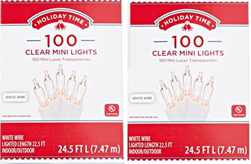 Holiday Time - Mini luces transparentes (100 unidades), color blanco