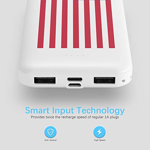 Miady Cargador portátil dual USB de 10000 mAh, cargador de energía de carga rápida con entrada USB C, cargador de respaldo para iPhone X, Galaxy S9, Pixel 3 y etc.