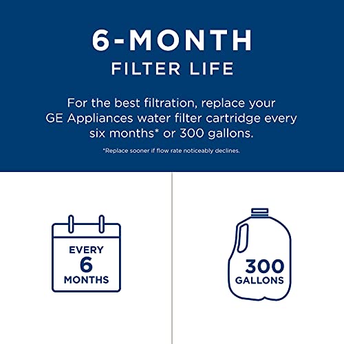 GE MSWF Refrigerator Water Filter