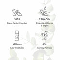 Edens Garden Aceite portador (mejor para mezclar con aceites esenciales), 4 onzas