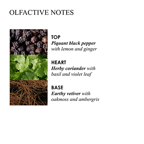 Molton Brown Aroma Reeds, Black Peppercorn, 5 Fl Oz