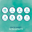 Pampers Pampers Pure Protection Pañales para recién nacidos tamaño n 31 unidades (versión antigua)
