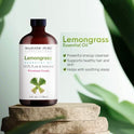 Majestic Pure Lemongrass Essential Oil, 100% Pure and Natural with Therapeutic Grade, Premium Quality Lemongrass Oil, 4 Fl. Oz.