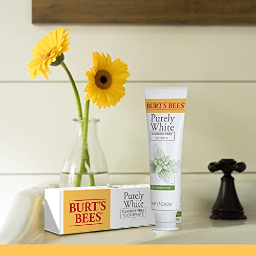 Burt's Bees pasta dental