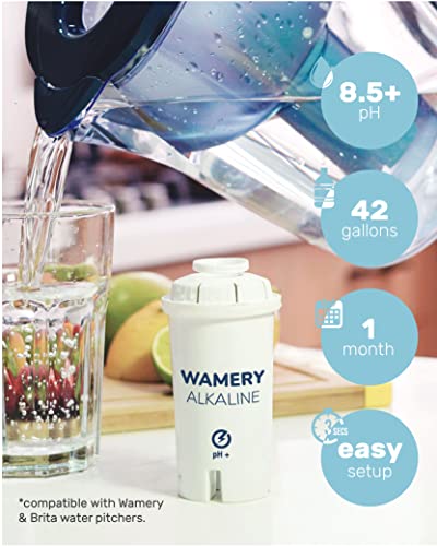 Wamery Filtro de agua de repuesto, paquete de 3 Compatible con jarra. Sistema de cartucho ionizador y purificador. Certificado NSF ANSI. Reduce el cloruro, metales duros del llave de la cocina.