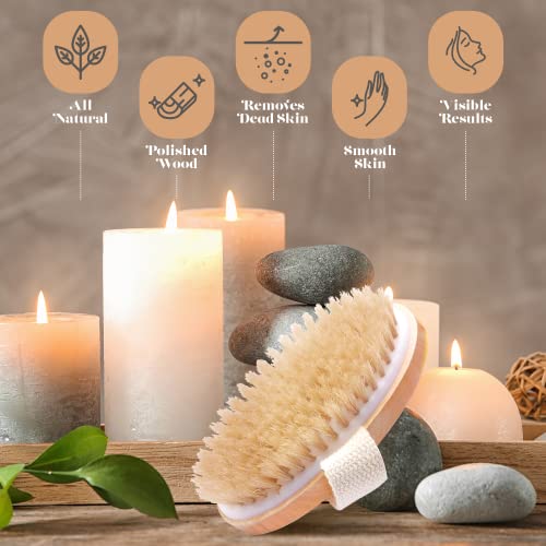 Dry Skin Body Brush - Improves Skin's Health And Beauty - Natural Bristle - Remove Dead Skin And Toxins, Cellulite Treatment , Improves Lymphatic Functions, Exfoliates, Stimulates Blood Circulation