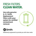 AO Smith Cartucho de repuesto para filtro de agua de sedimentos de 2.5 x 10 pulgadas, 20 micras, paquete de 2 unidades, para sistemas de filtración de toda la casa, AO-WH-PRE-RP2