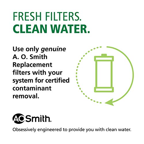 AO Smith Cartucho de repuesto para filtro de agua de sedimentos de 2.5 x 10 pulgadas, 20 micras, paquete de 2 unidades, para sistemas de filtración de toda la casa, AO-WH-PRE-RP2