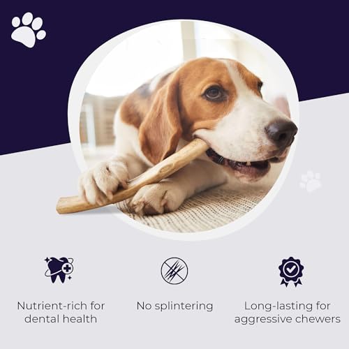 Cuernos de alce premium para perros | Todos los huesos de cuernos naturales mastican hueso de alce | saludable y de larga duración para masticadores agresivos | Salvaje en Estados Unidos – Propiedad de veteranos