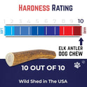 Cuernos de alce premium para perros | Todos los huesos de cuernos naturales mastican hueso de alce | saludable y de larga duración para masticadores agresivos | Salvaje en Estados Unidos – Propiedad de veteranos