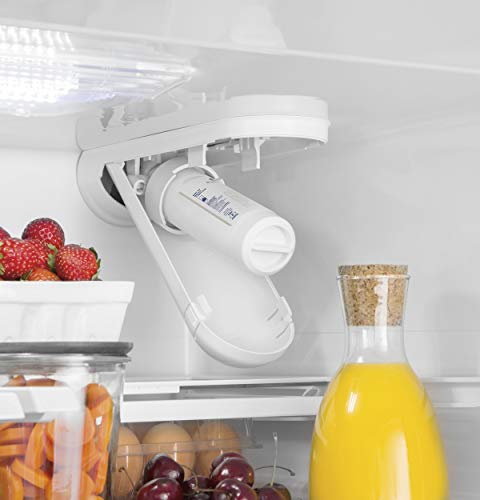 GE XWFE Filtro de agua para refrigerador | Certificado para reducir el plomo, el azufre y más de 50 impurezas | Reemplaza cada 6 meses para obtener los mejores resultados | Paquete de 1