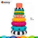 Sassy Wheel Activity Ciricles