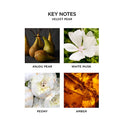 NEST Fragrances Reed Diffuser