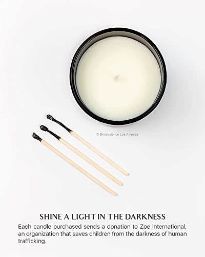Benevolence LA Vela perfumada – Velas de aromaterapia – Velas aromáticas fuertes de cera de soja natural con vidrio negro mate en caja de regalo
