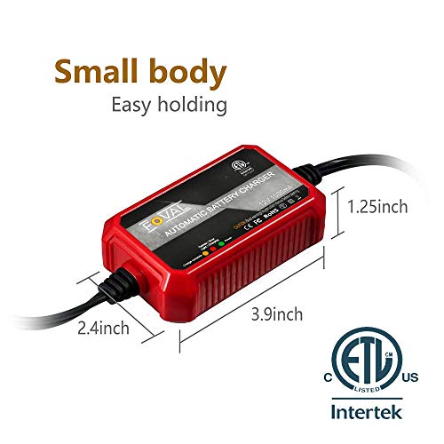 Foval Cargador de batería automático de 12 V, 1000 mA