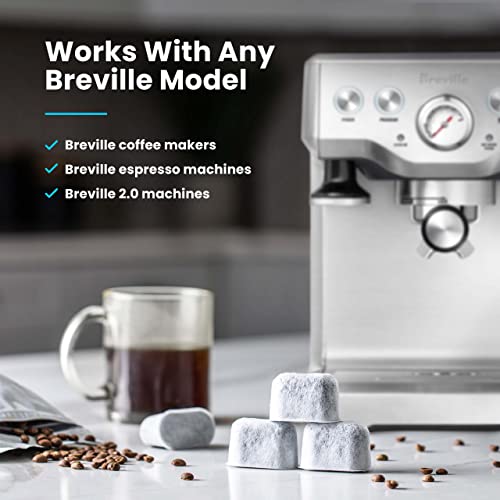 Breville BWF100 - Filtros de agua (6 unidades)