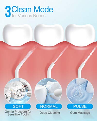 Nicefeel 300ML Portable and USB Rechargeable Oral Irrigator for Travel IPX7 Waterproof Water Flossing with 4 Jet Tips for Home
