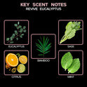 New EUCALYPTUS Scented Reed Diffuser Set REVIVE by LOVSPA Fragrances Fresh Eucalyptus, Sage, Citrus, Bamboo & Mint Great Gift for Mom, Dad, Grandma, Godmother or Aunt