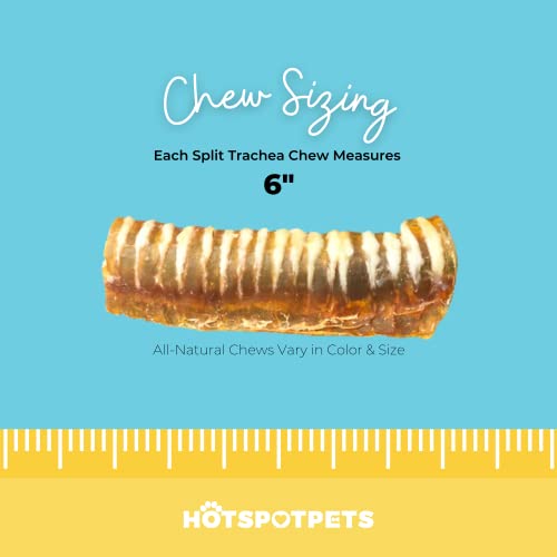 Hotspot Pets - Tiras de tráquea para perros de 15,24 cm (15,24 cm)