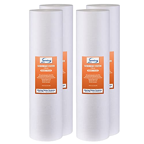 iSpring 2S-20BB-5M Big Blue - Filtro de agua para toda la casa (11.43 cm de diámetro y 50.80 cm de longitud, 2 unidades)