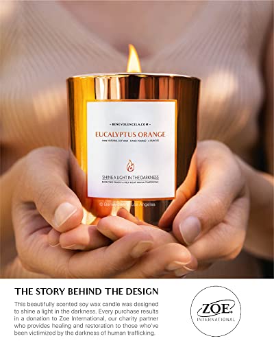 Benevolence LA - Velas aromáticas de Soja, Velas de aromaterapia, Velas relajantes de Vidrio de Oro Rosa, Velas aromáticas perfectas para decoración del hogar y Alivio del estrés, Velas no tóxicas