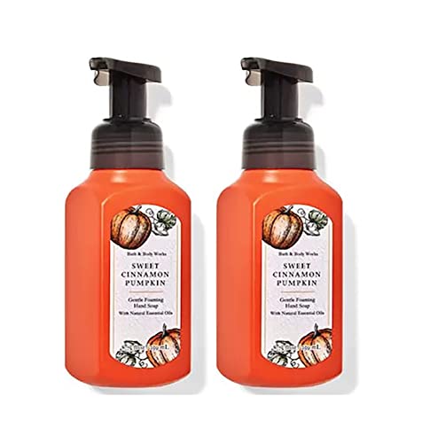 Bath & Body Works Gentle Foaming Hand Soap Set of 2 - Sweet Cinnamon Pumpkin