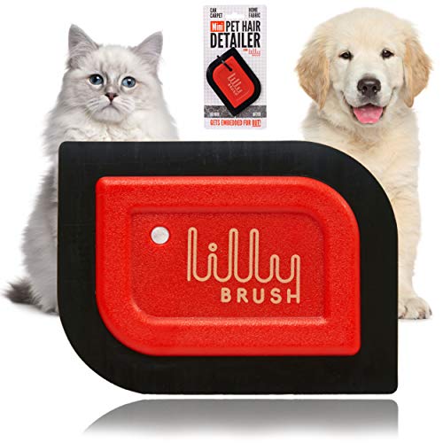 Lilly Brush Mini removedor de Pelo para Mascotas, removedor de Pelo de Coche, removedor de Pelo de Mascotas para Detalles automáticos, sofá, Muebles, Pelusa, Alfombra