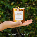 Benevolence LA - Velas aromáticas de Soja, Velas de aromaterapia, Velas relajantes de Vidrio de Oro Rosa, Velas aromáticas perfectas para decoración del hogar y Alivio del estrés, Velas no tóxicas