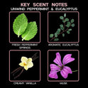 LOVSPA: Juego de Velas sin Mimbre para difusores de Varillas con Fragancia para el hogar y ambientador de Aire, Gran Idea de Regalo para mamá, Abuela, Nana, papá o tía