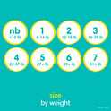 Pampers Swaddlers, ONE Month Supply