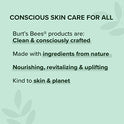 Burt's Bees Facial Cleansing Towelettes, Cucumber and Sage, 30 Count