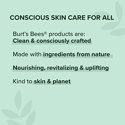 Burt's Bees Facial Cleansing Towelettes, Cucumber and Sage, 30 Count