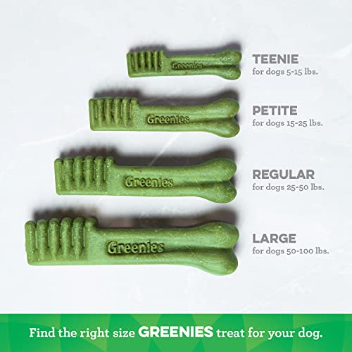 GREENIES Dental Chews Petite Treats for Dogs - Value Tub 36 oz. 60 Treats