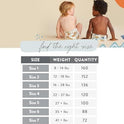 The Honest Company Clean Conscious Diapers | Plant-Based, Sustainable | Classic Stripes + Feeling Nauti | Super Club Box